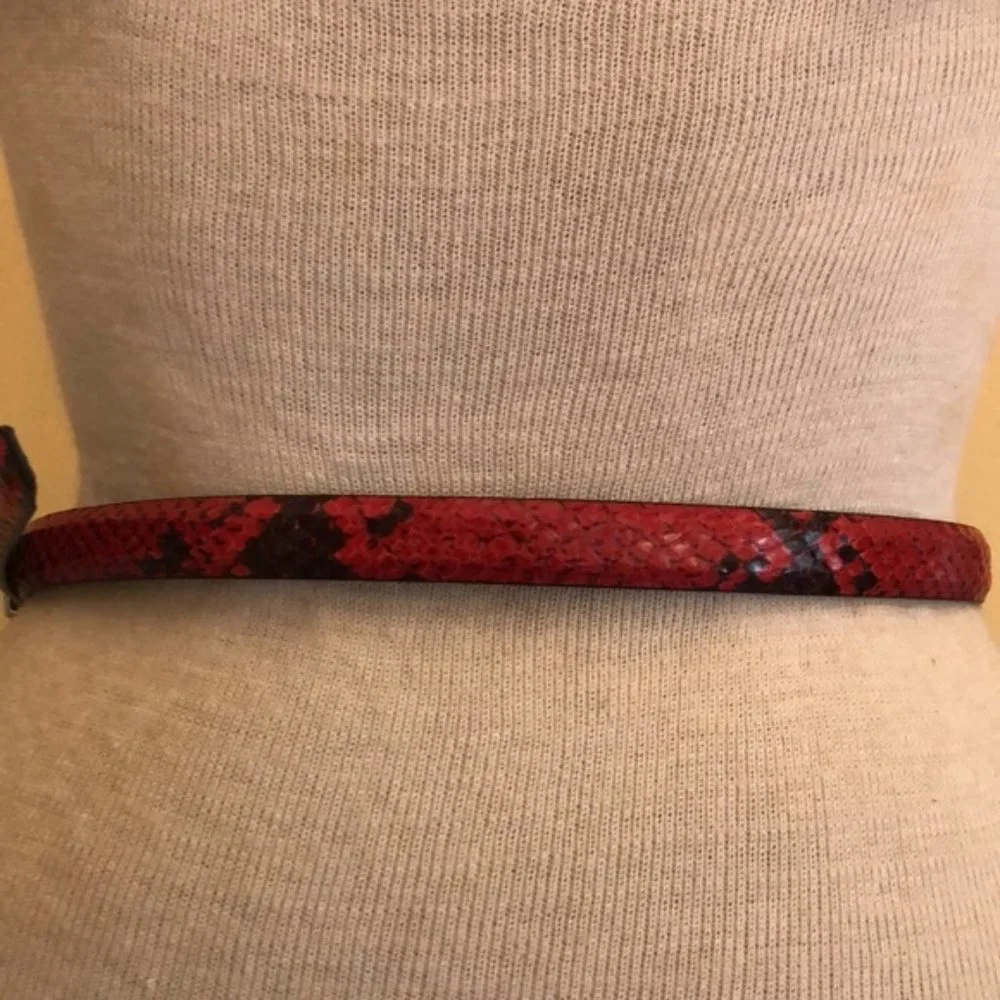 Brighton Red and Black Belt